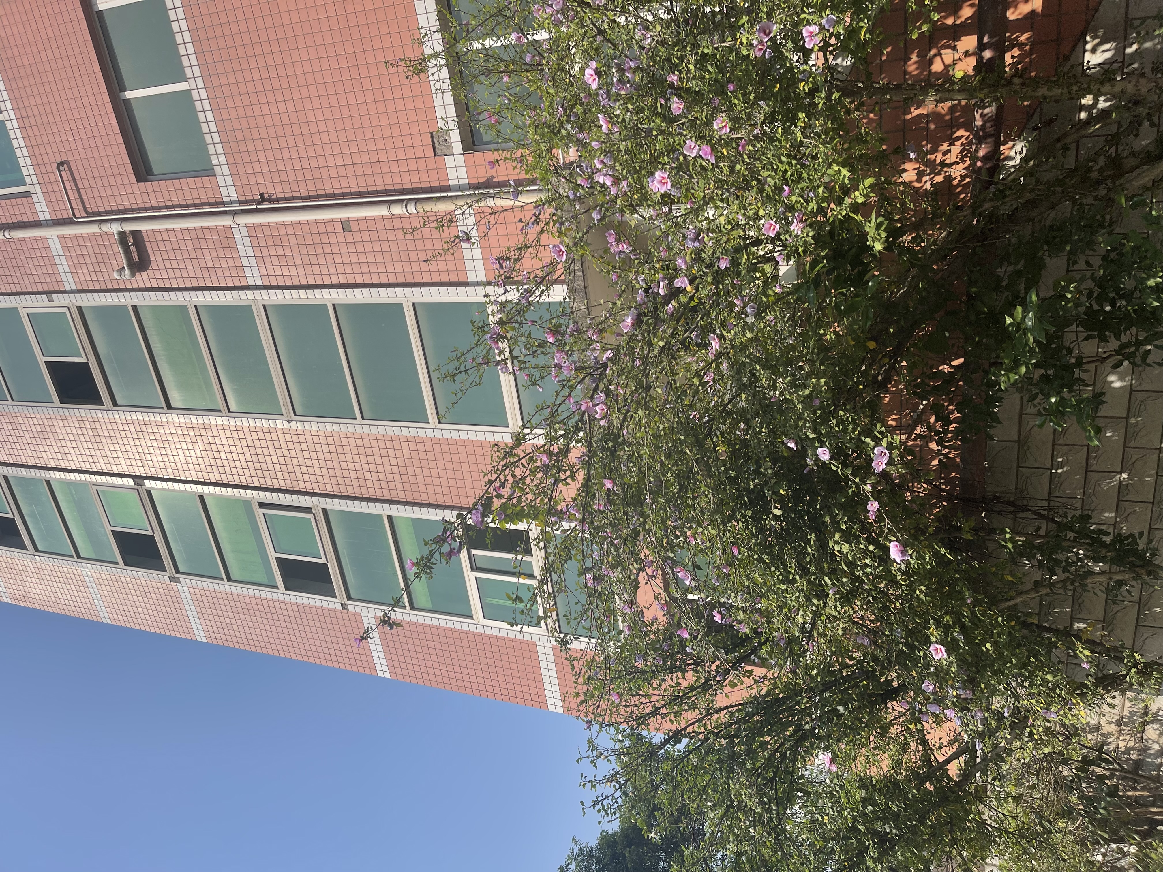 BUF1EZ(9A`4TEL2UTM86PJ2.jpg BUF1EZ(9A`4TEL2UTM86PJ2.jpg